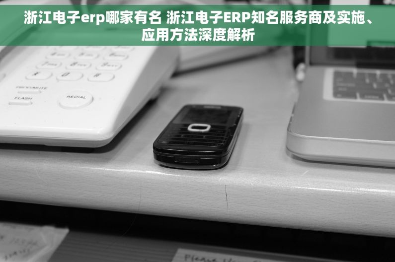 浙江电子erp哪家有名 浙江电子ERP知名服务商及实施、应用方法深度解析