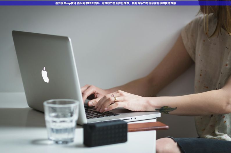 嘉兴简单erp软件 嘉兴简单ERP软件：高效助力企业降低成本，提升竞争力与信息化升级的优选方案