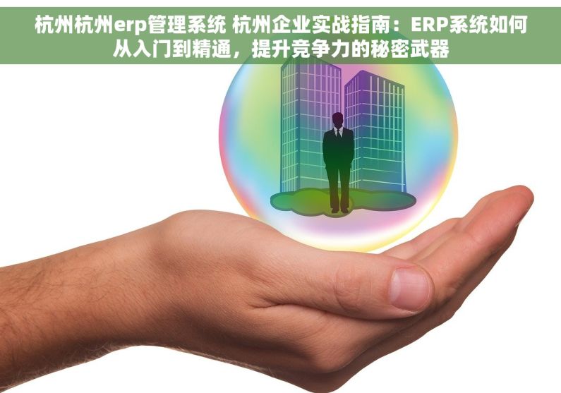 杭州杭州erp管理系统 杭州企业实战指南：ERP系统如何从入门到精通，提升竞争力的秘密武器