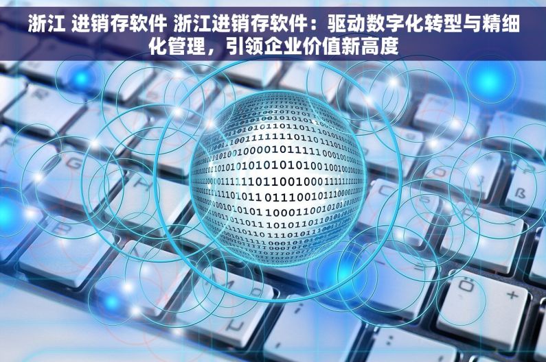 浙江 进销存软件 浙江进销存软件：驱动数字化转型与精细化管理，引领企业价值新高度