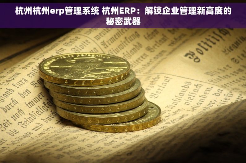 杭州杭州erp管理系统 杭州ERP：解锁企业管理新高度的秘密武器