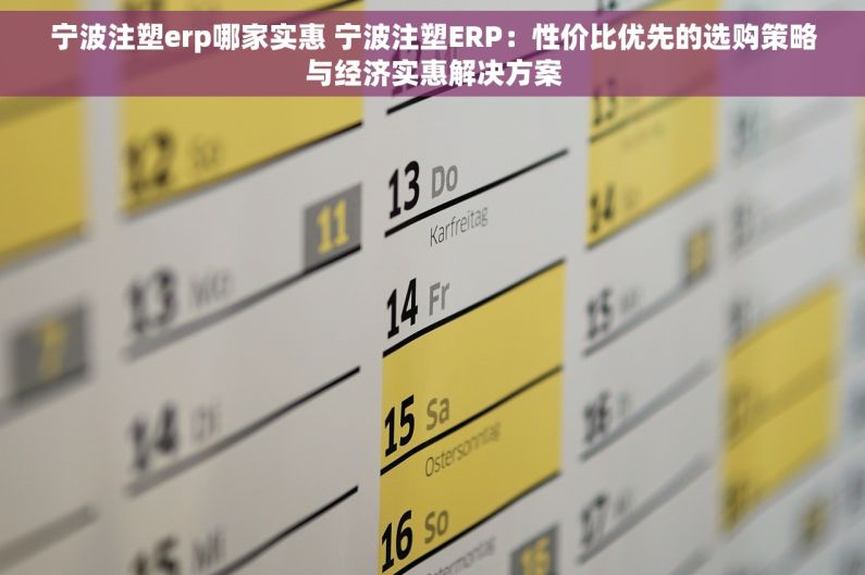 宁波注塑erp哪家实惠 宁波注塑ERP：性价比优先的选购策略与经济实惠解决方案