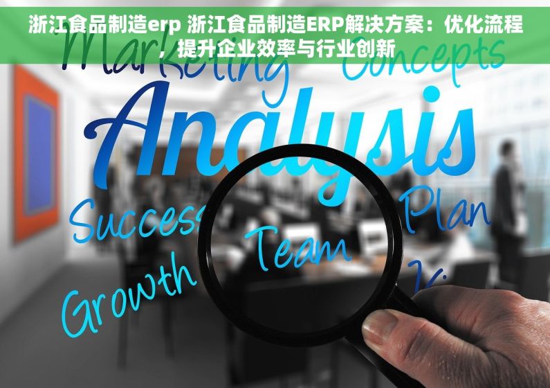 浙江食品制造erp 浙江食品制造ERP解决方案：优化流程，提升企业效率与行业创新