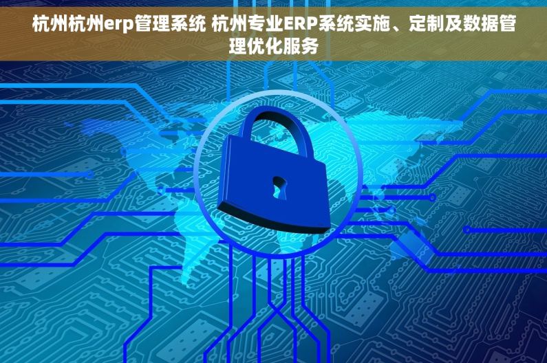 杭州杭州erp管理系统 杭州专业ERP系统实施、定制及数据管理优化服务