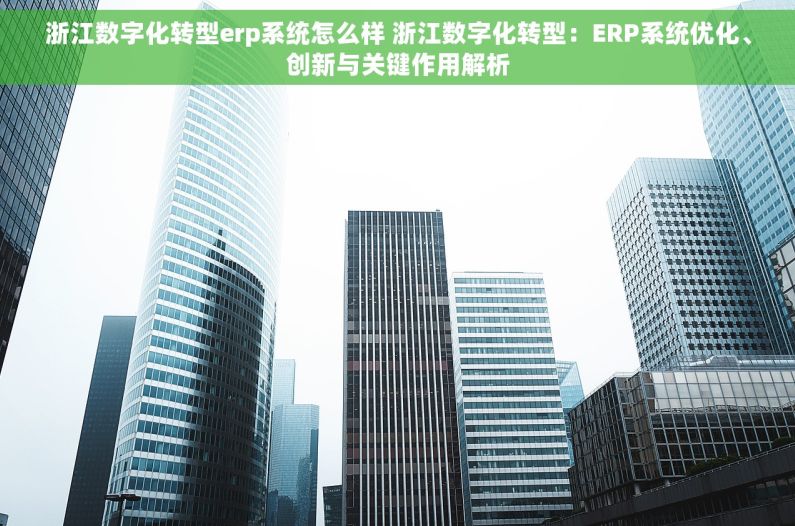 浙江数字化转型erp系统怎么样 浙江数字化转型：ERP系统优化、创新与关键作用解析