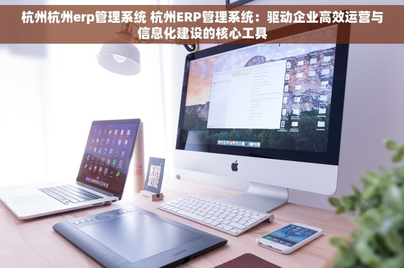 杭州杭州erp管理系统 杭州ERP管理系统：驱动企业高效运营与信息化建设的核心工具