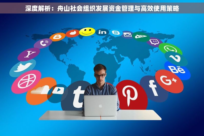 深度解析：舟山社会组织发展资金管理与高效使用策略