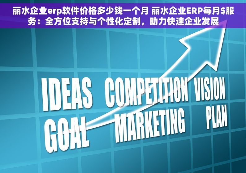 丽水企业erp软件价格多少钱一个月 丽水企业ERP每月$服务：全方位支持与个性化定制，助力快速企业发展