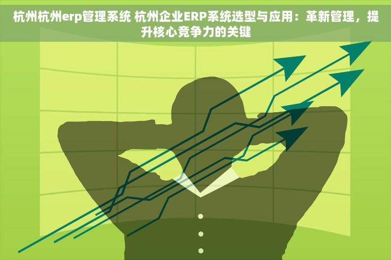杭州杭州erp管理系统 杭州企业ERP系统选型与应用：革新管理，提升核心竞争力的关键