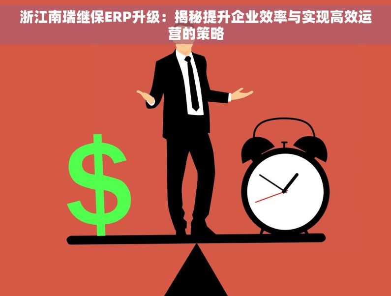 浙江南瑞继保ERP升级：揭秘提升企业效率与实现高效运营的策略