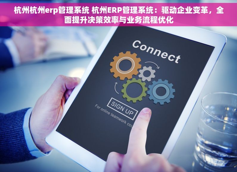 杭州杭州erp管理系统 杭州ERP管理系统：驱动企业变革，全面提升决策效率与业务流程优化