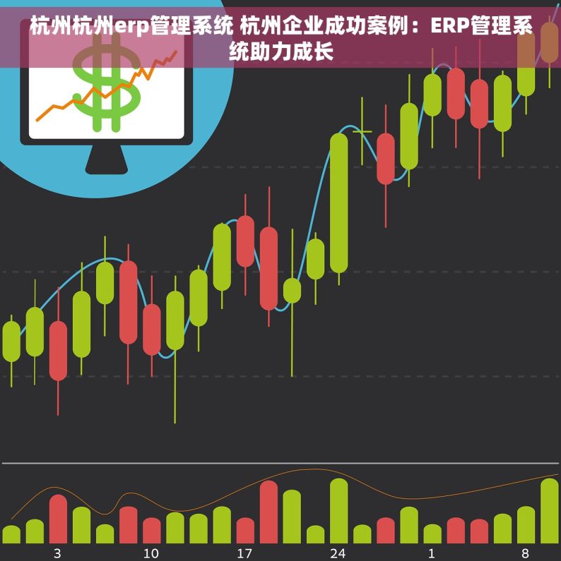 杭州杭州erp管理系统 杭州企业成功案例：ERP管理系统助力成长