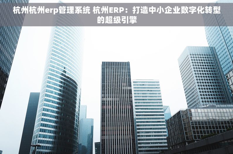 杭州杭州erp管理系统 杭州ERP：打造中小企业数字化转型的超级引擎