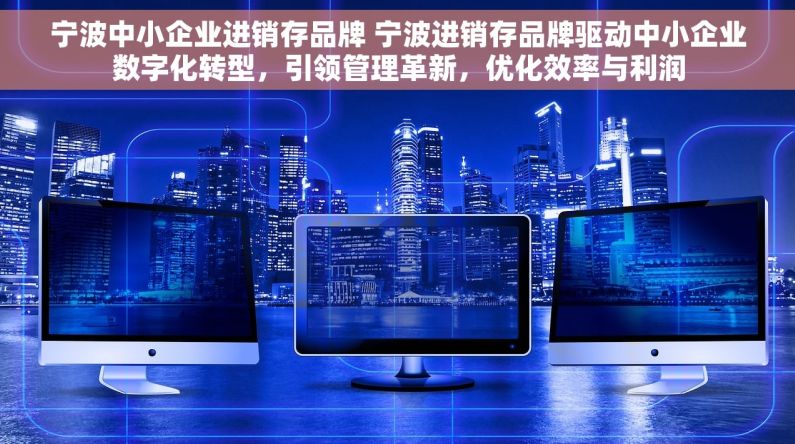 宁波中小企业进销存品牌 宁波进销存品牌驱动中小企业数字化转型，引领管理革新，优化效率与利润