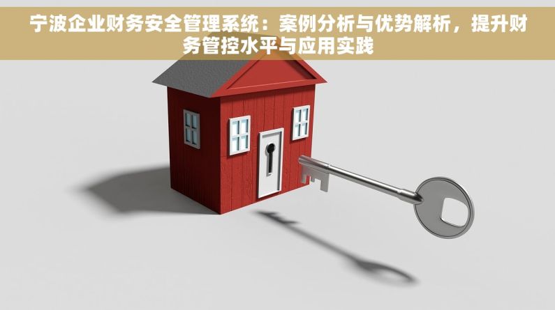 宁波企业财务安全管理系统：案例分析与优势解析，提升财务管控水平与应用实践