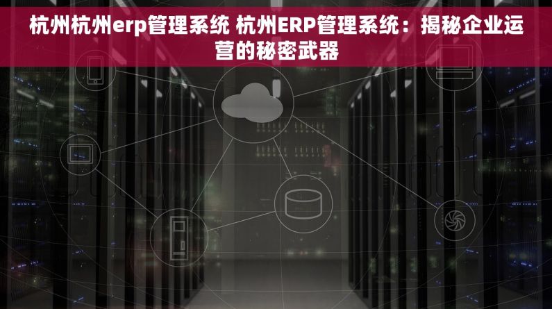 杭州杭州erp管理系统 杭州ERP管理系统：揭秘企业运营的秘密武器