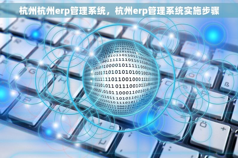 杭州杭州erp管理系统，杭州erp管理系统实施步骤