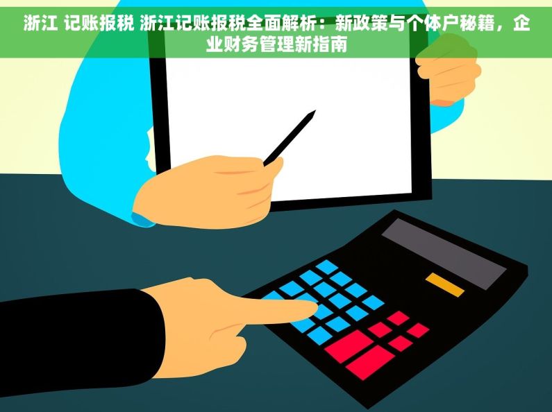 浙江 记账报税 浙江记账报税全面解析：新政策与个体户秘籍，企业财务管理新指南
