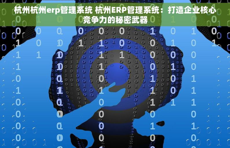 杭州杭州erp管理系统 杭州ERP管理系统：打造企业核心竞争力的秘密武器