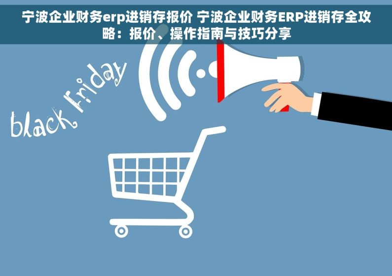 宁波企业财务erp进销存报价 宁波企业财务ERP进销存全攻略：报价、操作指南与技巧分享