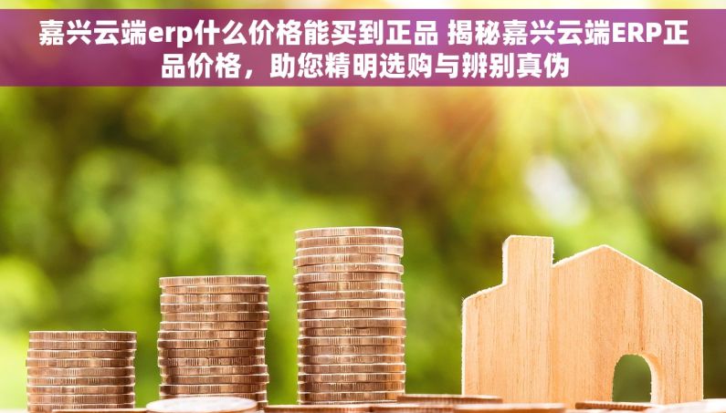 嘉兴云端erp什么价格能买到正品 揭秘嘉兴云端ERP正品价格，助您精明选购与辨别真伪