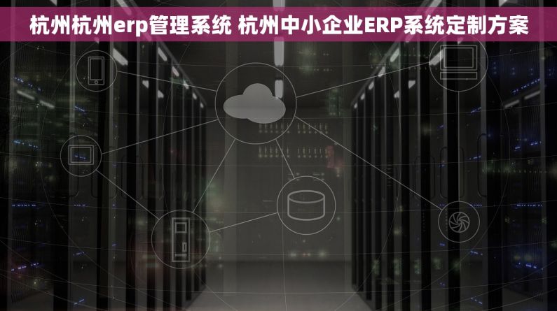 杭州杭州erp管理系统 杭州中小企业ERP系统定制方案