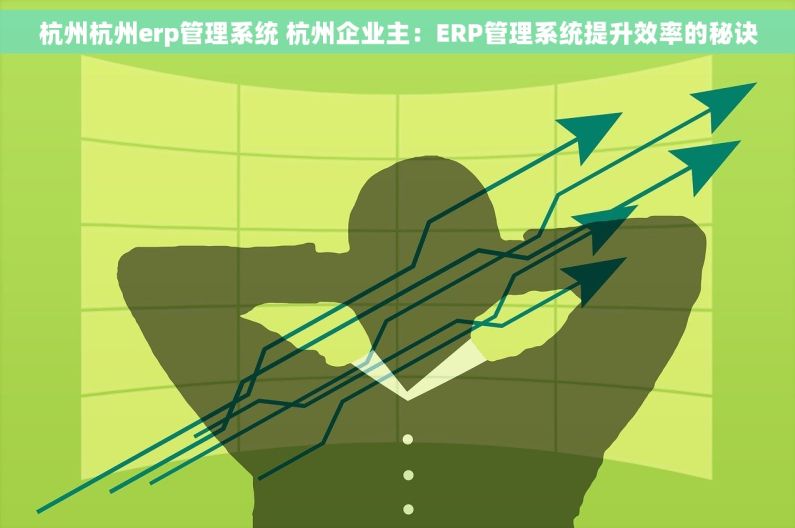 杭州杭州erp管理系统 杭州企业主：ERP管理系统提升效率的秘诀