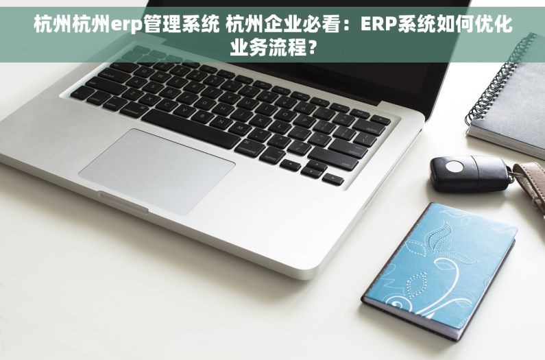 杭州杭州erp管理系统 杭州企业必看：ERP系统如何优化业务流程？