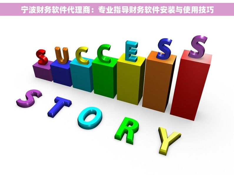 宁波财务软件代理商：专业指导财务软件安装与使用技巧