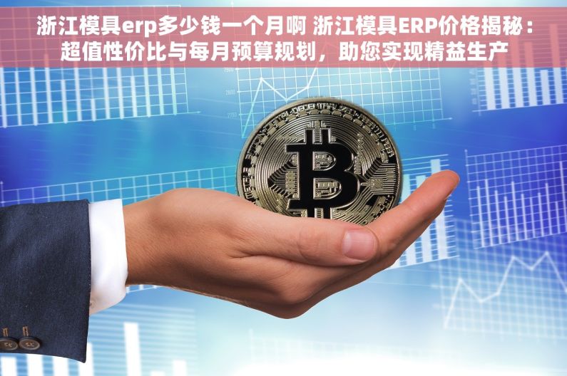 浙江模具erp多少钱一个月啊 浙江模具ERP价格揭秘：超值性价比与每月预算规划，助您实现精益生产
