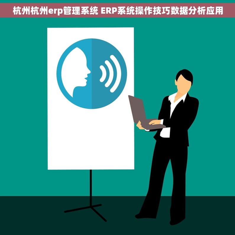 杭州杭州erp管理系统 ERP系统操作技巧数据分析应用
