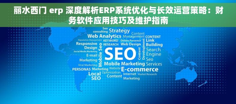 丽水西门 erp 深度解析ERP系统优化与长效运营策略：财务软件应用技巧及维护指南