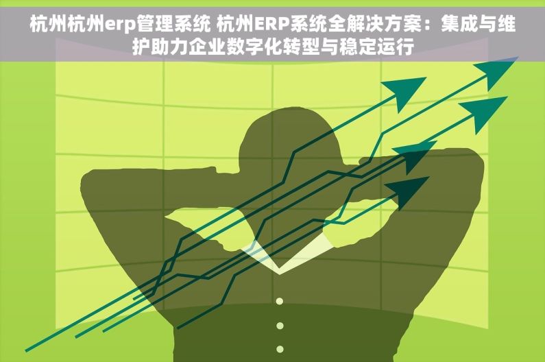 杭州杭州erp管理系统 杭州ERP系统全解决方案：集成与维护助力企业数字化转型与稳定运行