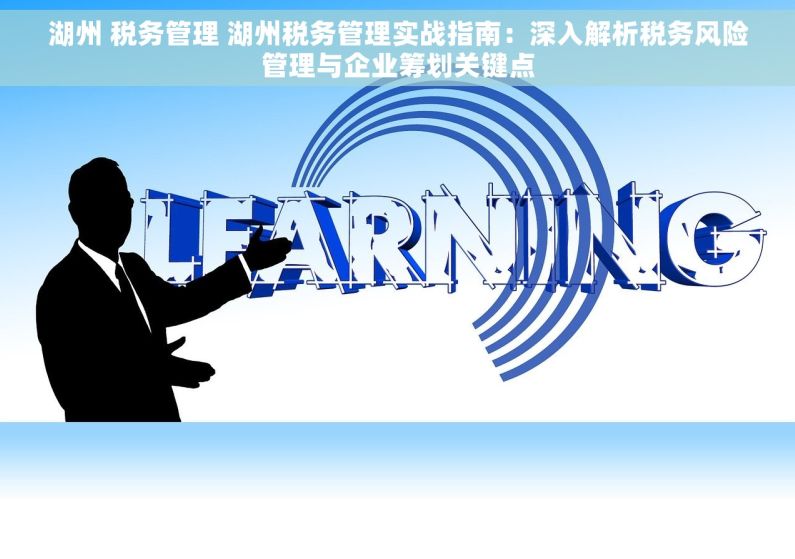 湖州 税务管理 湖州税务管理实战指南：深入解析税务风险管理与企业筹划关键点