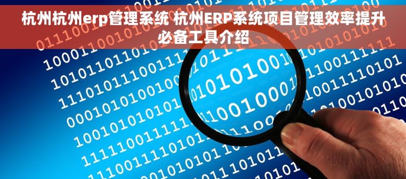 杭州杭州erp管理系统 杭州ERP系统项目管理效率提升必备工具介绍