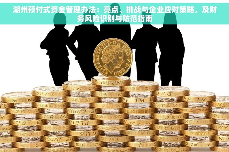 湖州预付式资金管理办法：亮点、挑战与企业应对策略，及财务风险识别与防范指南