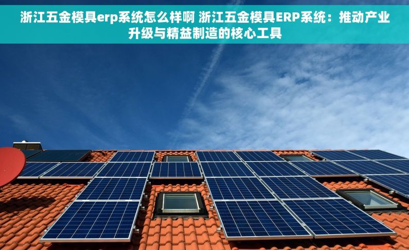 浙江五金模具erp系统怎么样啊 浙江五金模具ERP系统：推动产业升级与精益制造的核心工具
