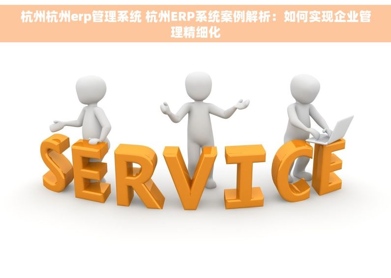 杭州杭州erp管理系统 杭州ERP系统案例解析：如何实现企业管理精细化