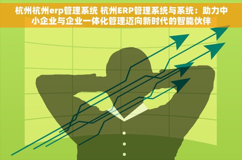 杭州杭州erp管理系统 杭州ERP管理系统与系统：助力中小企业与企业一体化管理迈向新时代的智能伙伴