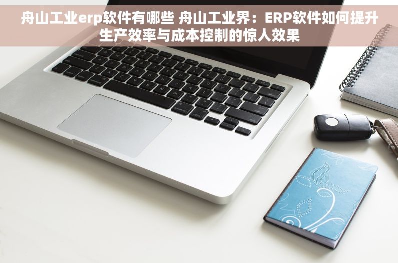 舟山工业erp软件有哪些 舟山工业界：ERP软件如何提升生产效率与成本控制的惊人效果