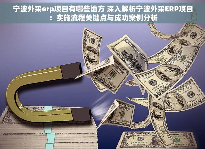 宁波外采erp项目有哪些地方 深入解析宁波外采ERP项目：实施流程关键点与成功案例分析