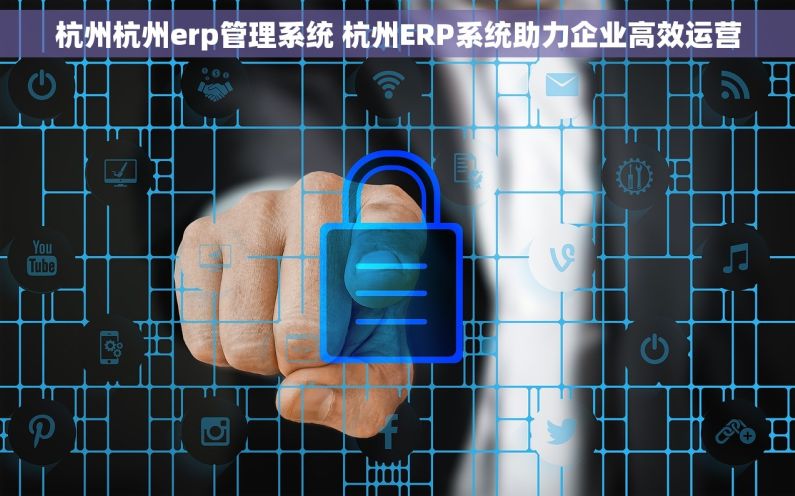杭州杭州erp管理系统 杭州ERP系统助力企业高效运营