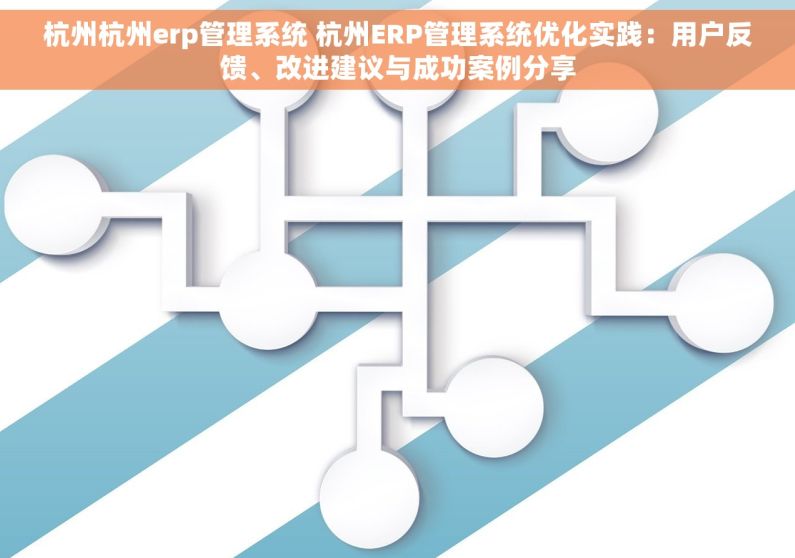 杭州杭州erp管理系统 杭州ERP管理系统优化实践：用户反馈、改进建议与成功案例分享
