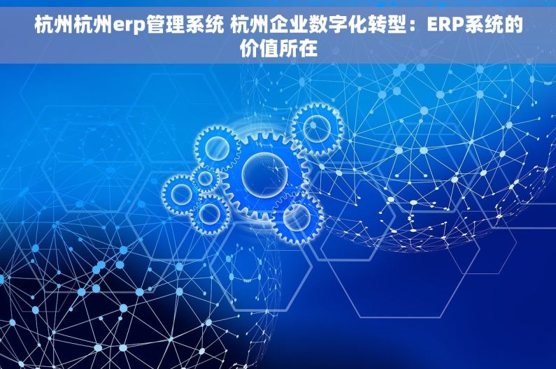 杭州杭州erp管理系统 杭州企业数字化转型：ERP系统的价值所在