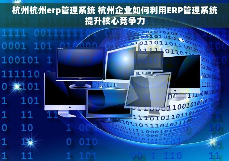 杭州杭州erp管理系统 杭州企业如何利用ERP管理系统提升核心竞争力
