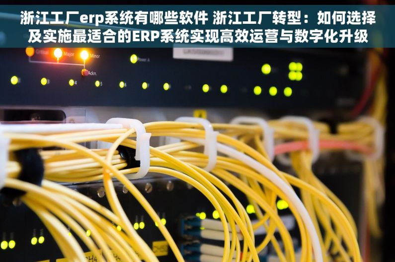 浙江工厂erp系统有哪些软件 浙江工厂转型：如何选择及实施最适合的ERP系统实现高效运营与数字化升级
