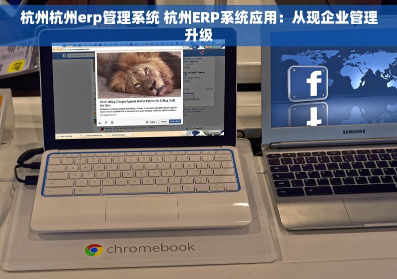 杭州杭州erp管理系统 杭州ERP系统应用：从现企业管理升级