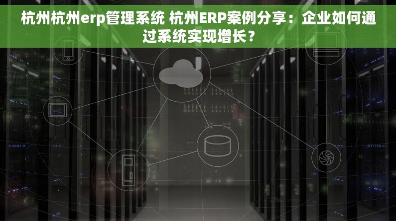 杭州杭州erp管理系统 杭州ERP案例分享：企业如何通过系统实现增长？