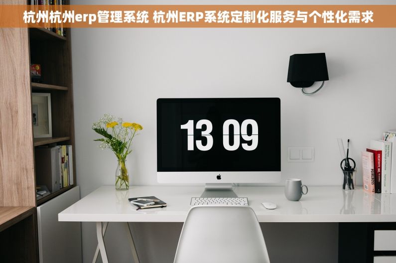 杭州杭州erp管理系统 杭州ERP系统定制化服务与个性化需求