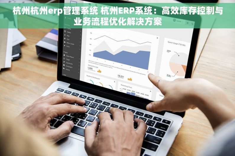 杭州杭州erp管理系统 杭州ERP系统：高效库存控制与业务流程优化解决方案